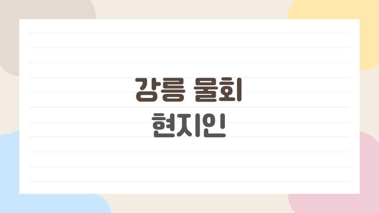 강릉 물회 현지인