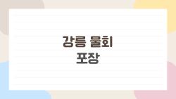 강릉 물회 포장, 6만원 박스로 숙소에서 인생 파티?