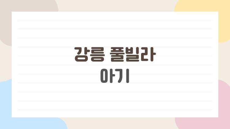 강릉 풀빌라 아기