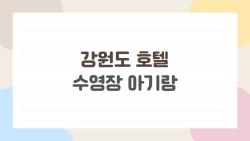 강원도 호텔 수영장 아기랑, 언제부터 갈 수 있을까? 2026 부모가 꼭 알아야 할 필수 정보
