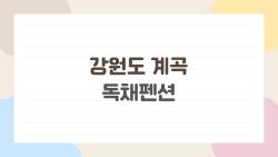 강원도 계곡 독채펜션, 예약 전에 꼭 봐야 할 것들