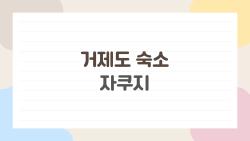 거제도 숙소 자쿠지, 왜 다들 야간에 예약하는지 이유가 있었다