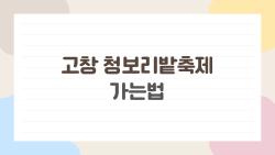고창 청보리밭축제가는법, 주말 주차 지옥 피하는 비밀 루트 대공개