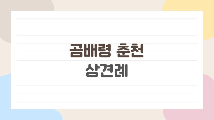 곰배령 춘천 상견례, 부모님 첫 만남에서 대차게 망한 이유?