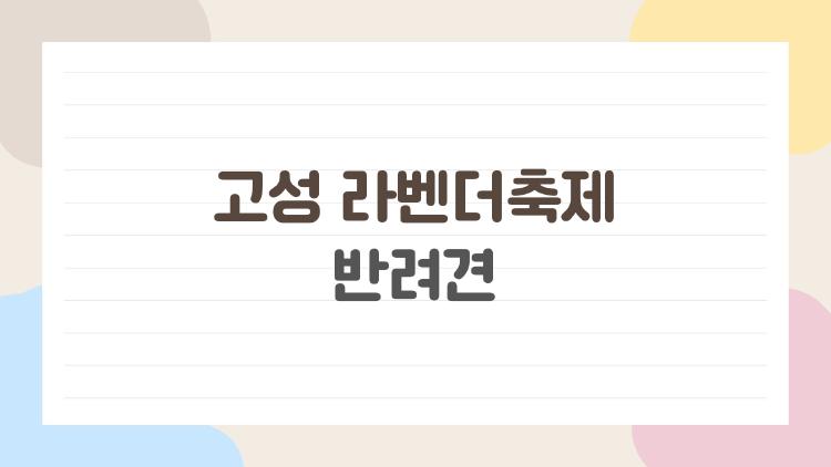 고성 라벤더축제 반려견