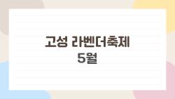 고성 라벤더축제 5월에 가도 꽃이 피어 있나요? 5월 방문 전 반드시 알아야 할 사실