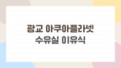 광교 아쿠아플라넷 수유실 이유식, 엄마들만 아는 숨겨진 팁 대공개