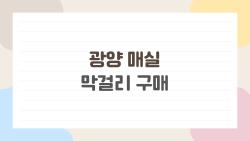 광양 매실 막걸리 구매, 이걸 몰라서 봄술로 놓쳤다면 지금 확인하라