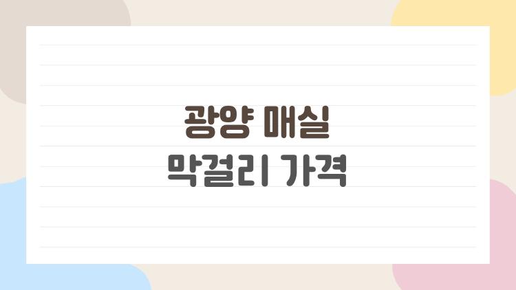 광양 매실 막걸리 가격