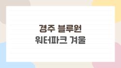경주 블루원 워터파크 겨울, 추위 날리는 따뜻한 물놀이 꿀팁 대공개