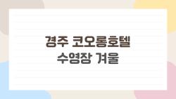 경주 코오롱호텔 수영장 겨울, 기대했는데 충격이었던 진실