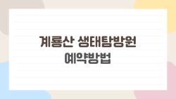 계룡산 생태탐방원 예약방법, 10분 만에 마감? 살아남는 꿀팁 공개