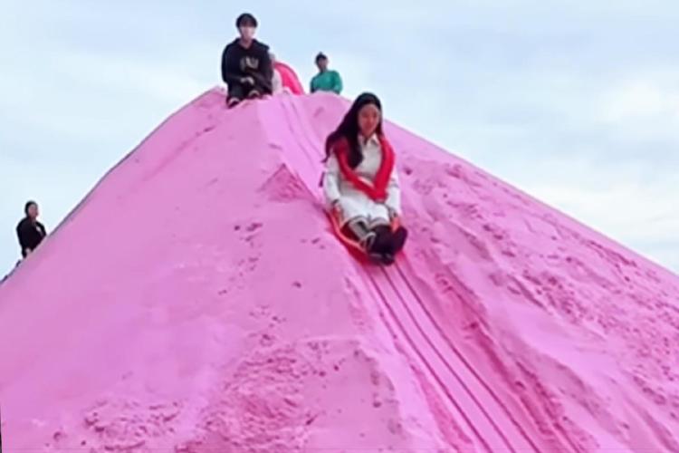 허브아일랜드 썰매, 아빠가 더 신나서 웃음 폭발한 사연