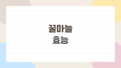 꿀마늘 효능, 먹고 일주일 만에 혈압 확 내려간 충격 후기