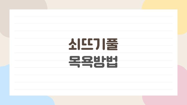 쇠뜨기풀 목욕방법