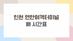 인천 연안여객터미널 배 시간표, 결항 걱정 없이 떠나는 비밀