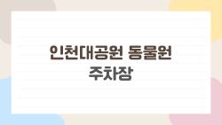 인천대공원 동물원 주차장, 주말 가면 후회할 타이밍