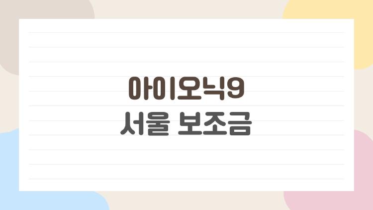 아이오닉9 서울 보조금