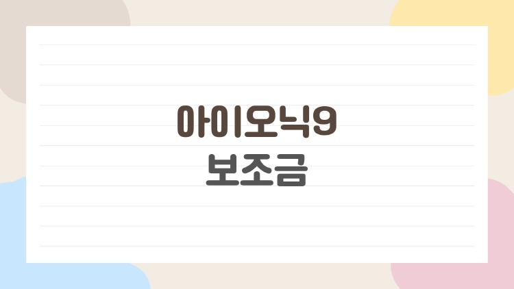 아이오닉9 보조금