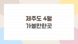 제주도 4월 가볼만한곳, 이곳 모르면 4월 후회각이다