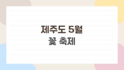 제주도 5월 꽃 축제, 서귀포 수국길이 이렇게 예뻤어? (사전 체크 포인트 정리)