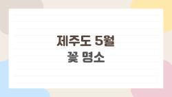 제주도 5월 꽃 명소, 평생 후회 안 할 숨은 보석들