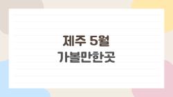 제주 5월 가볼만한곳, 해안·오름·숲길까지 완전정리