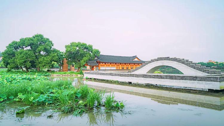 전주 벚꽃 공원, 올해 벚꽃 언제 피나요?