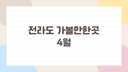 전라도 가볼만한곳 4월, 꽃바다에 취해 하루 종일 사진만 찍은 이유