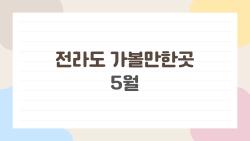 전라도 가볼만한곳 5월, 축제 미쳤네 완전 후회없는 선택!