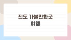 진도 가볼만한곳 여행, 2026 봄에 왜 다들 미쳤을까