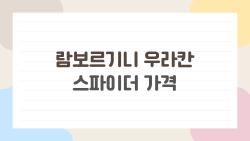 람보르기니 우라칸 스파이더 가격, 6억 부자만 아는 충격 진실