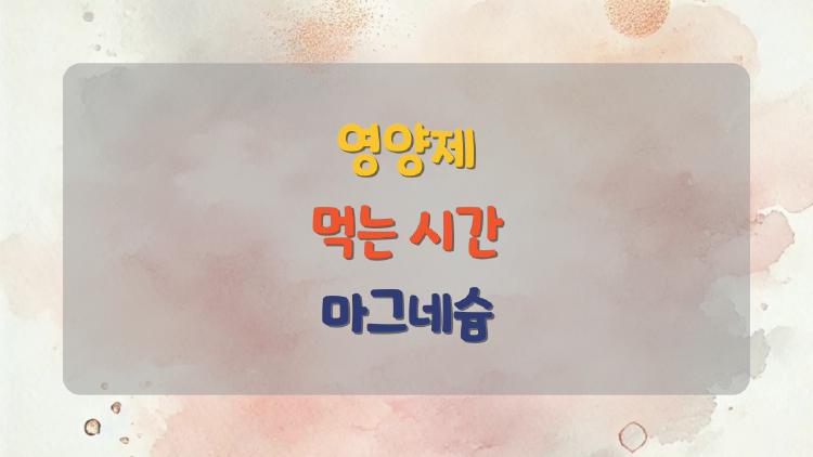 영양제 먹는 시간 마그네슘