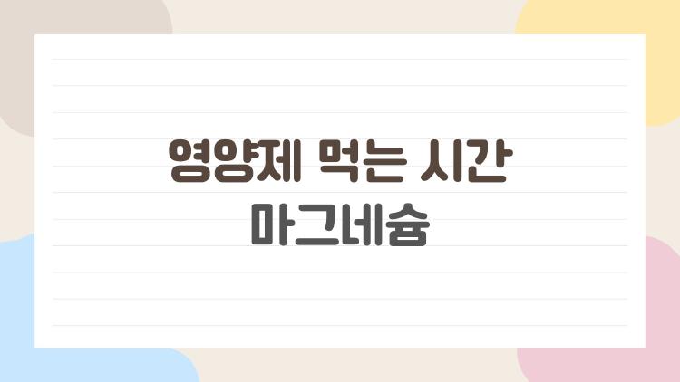 영양제 먹는 시간 마그네슘, 2026년 꿀잠 비법 공개됐대요