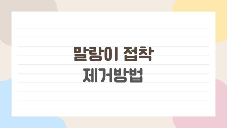 말랑이 접착제거방법