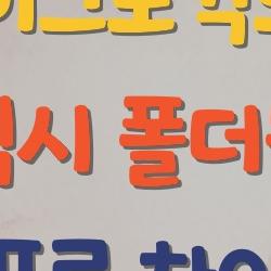 마이크로킥보드 맥시 폴더블 프로 차이, 어떤 걸 사야 할까? 폴더블 vs 프로 최종 선택 가이드