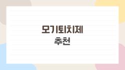 모기퇴치제 추천, 2026년 여름 이거 하나면 끝!