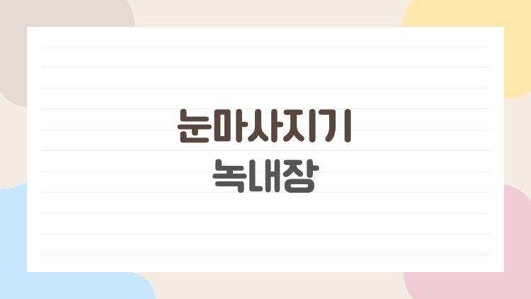 눈마사지기 녹내장