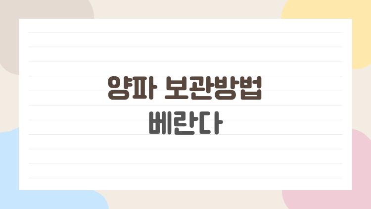 양파 보관방법 베란다