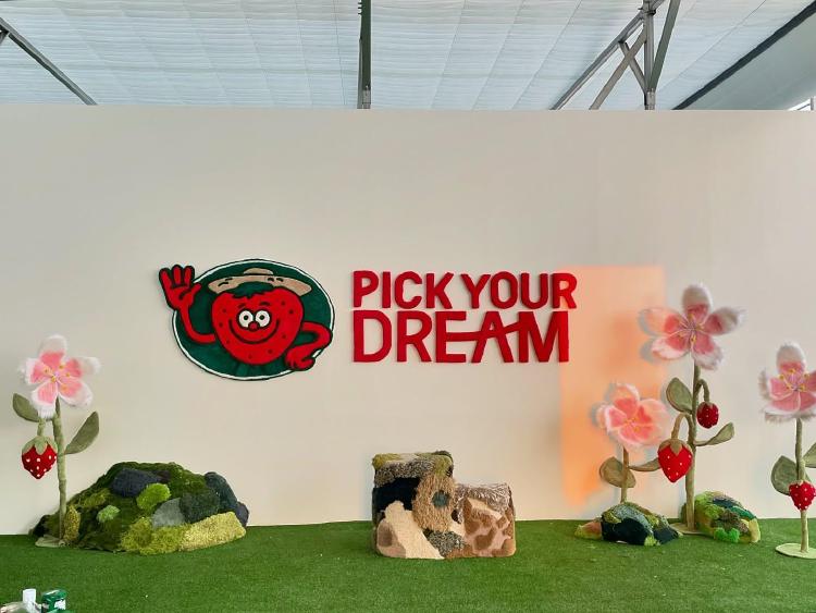 파주 딸기농장 키즈카페, 예약전쟁 이겨낸 솔직 후기