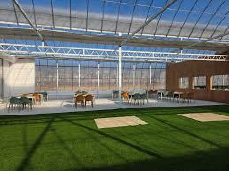 파주 딸기농장 모래놀이, 예약 1분 만에 매진된 겨울 핫플 비밀