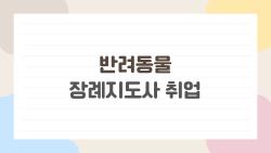 반려동물 장례지도사 취업, 연봉 8천 찍는 비밀 공개