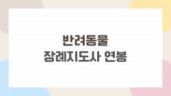 반려동물 장례지도사 연봉, 초보 2400만원 시작인데 진짜일까