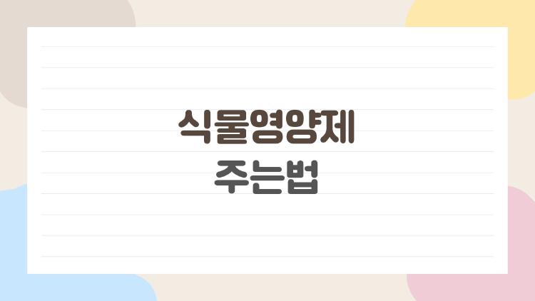 식물영양제 주는법