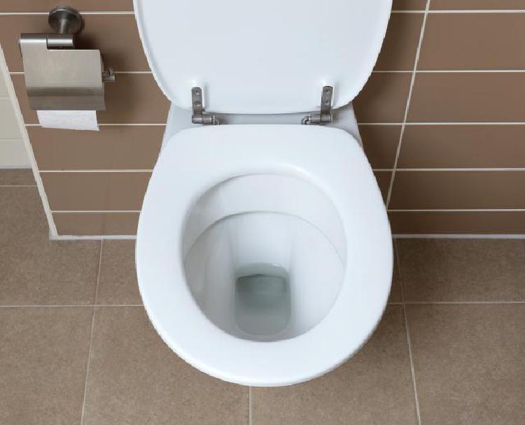 뚜러뻥 없을 때 변기 뚫는 법, 집에 있는 거로 5분 만에 뚫은 비밀