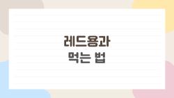 레드용과 먹는 법, 이 한 입에 장 건강이 달라진다는데