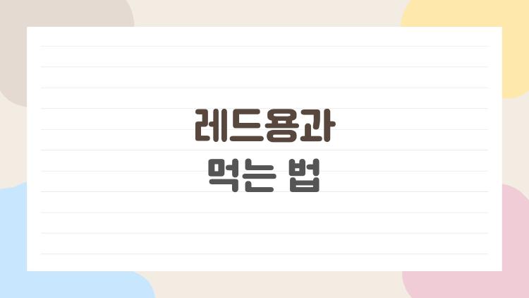 레드용과 먹는 법