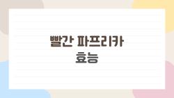 빨간 파프리카 효능, 레몬 2배 비타민C로 감기 날아간 비밀