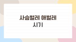 사슴벌레 애벌레 시기, 이 시기에 왜 자꾸 집 안을 뒤지고 있을까?