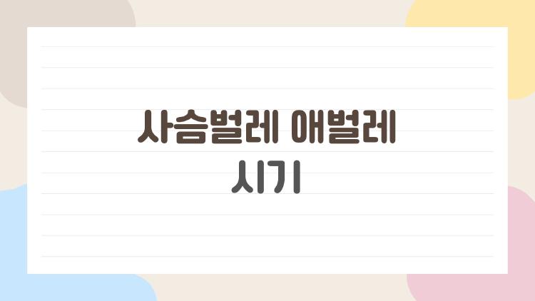 사슴벌레 애벌레 시기